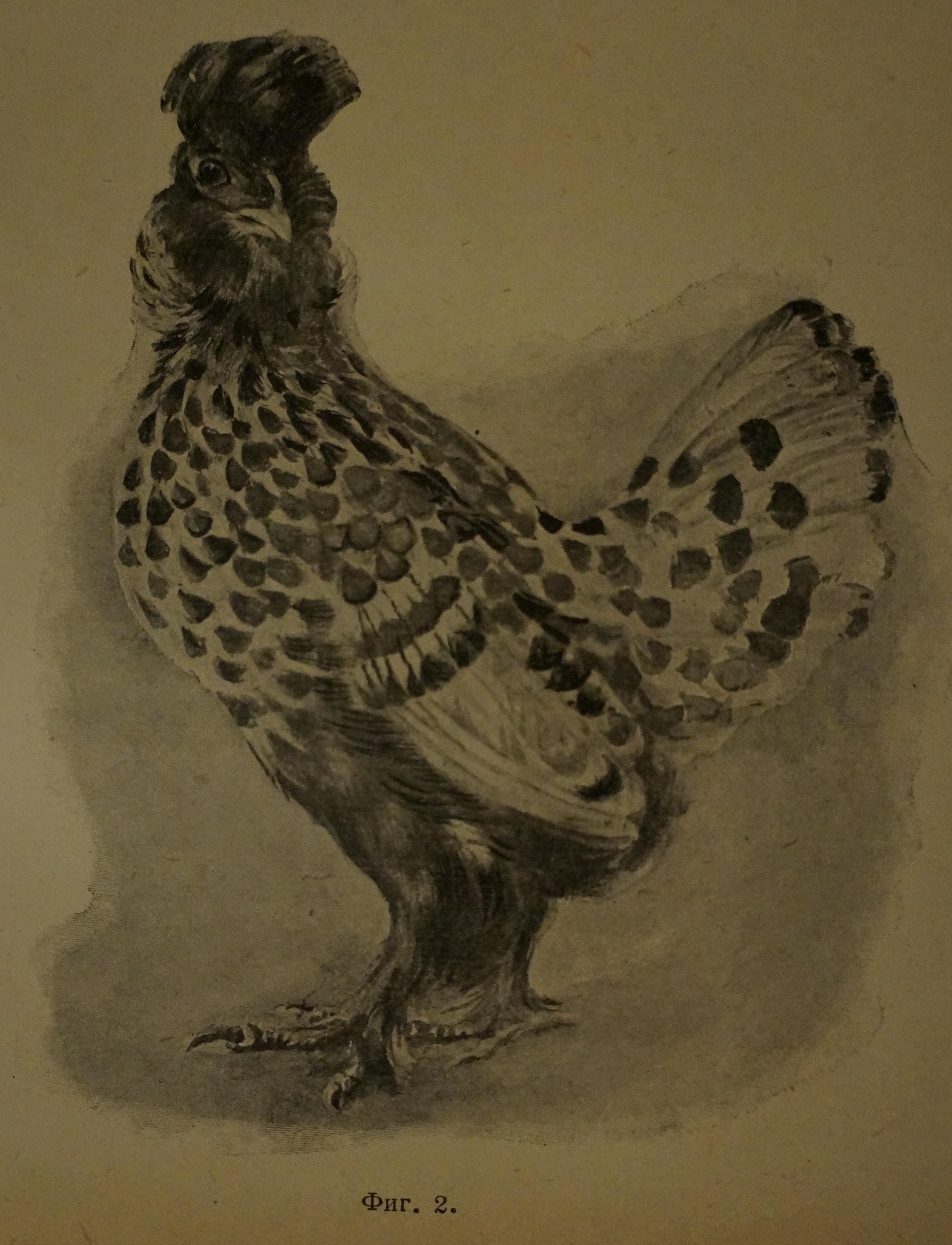    1926 .